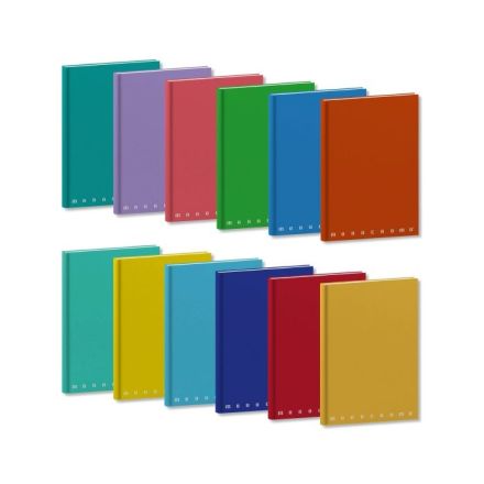 Maxiquaderni cartonati Monocromo - Rigatura 4M - Quadretto elementari e medie - 80 g - copertine assortite