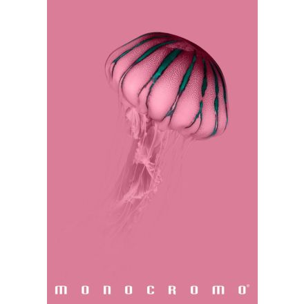 Maxiquaderno Monocromo Pink - rigatura 0C