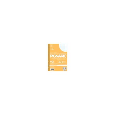 Confezione da 40 fogli PIGNARIC rinforzati - 0Q - Quadretto da 5mm con margine