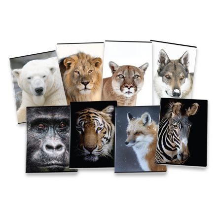 Maxiquaderni WILD 80g - 2025