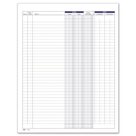 Registro Primanota cassa (entrate/uscite/partite fuori cassa) - 100 pagine - 31x24,5 cm