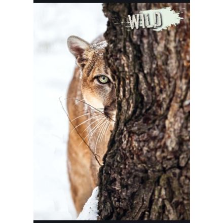Maxiquaderno Collezione Wild - Rigatura 4F - Quadretto elementari e medie - 80 g - A4 - copertine assortite