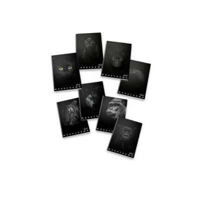 Quaderni con spirale Monocromo Black - Formato A5 - Rigatura 1R - Righe medie e superiori - 80 g - copertine assortite